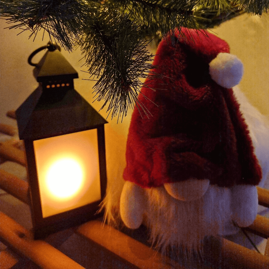 Gnomes de Noël